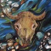 Spirit of Bison