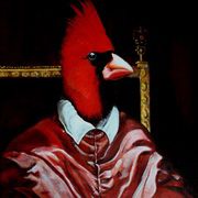 Northern Cardinal Bird X