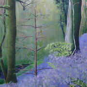 carlow woodland
