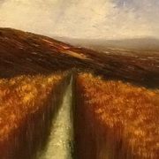 Bogland Stream
