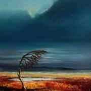 Windswept Bogland