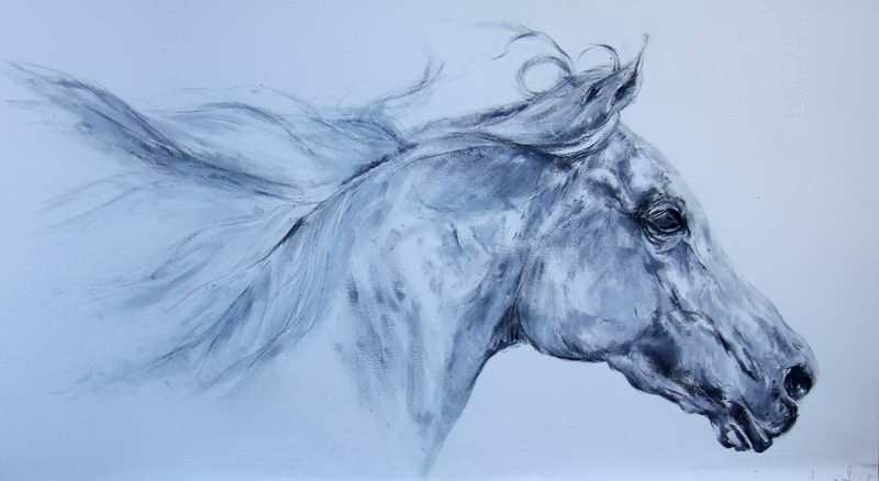 painting, The Arabian Horse II, oil on paper, 76 x 56 cms