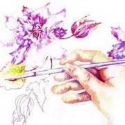 Painting Clematis