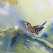 Wren