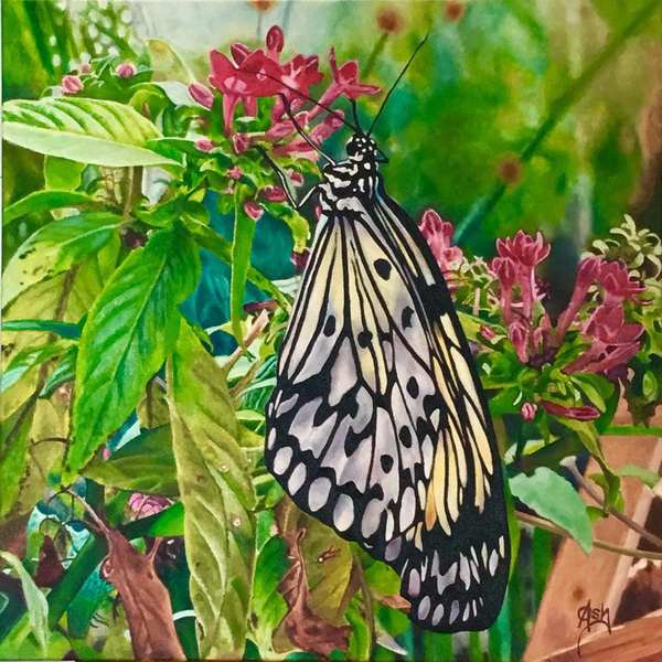 painting, Butterfly Kisses No 3, oil on canvas, 40 x 40 cms