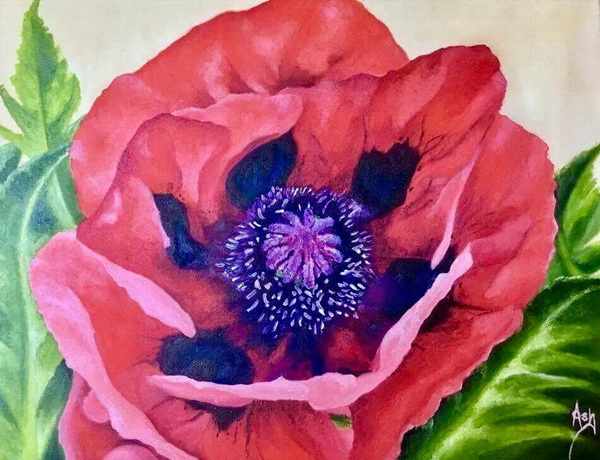 painting, Summer Poppy, oil on chunky box canvas, 30 x 40 cm
