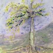 Arbre de Ste Lauzie