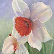 Irish art | Daffs by Audrey Hennessy | Irish artist