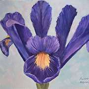 Irish art | Purple Iris by Audrey Hennessy | Irish artist