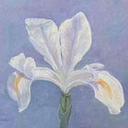 Irish art | Wild Iris by Audrey Hennessy | Irish artist