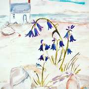 Bluebell Cottage