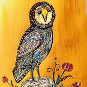Little Owl