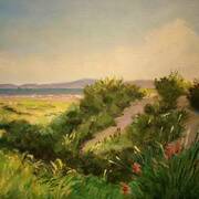 Sand Dunes Dollymount