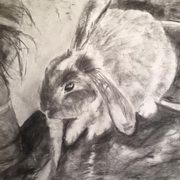 Kathryn's Rabbit
