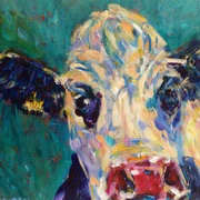 Nosey Cow