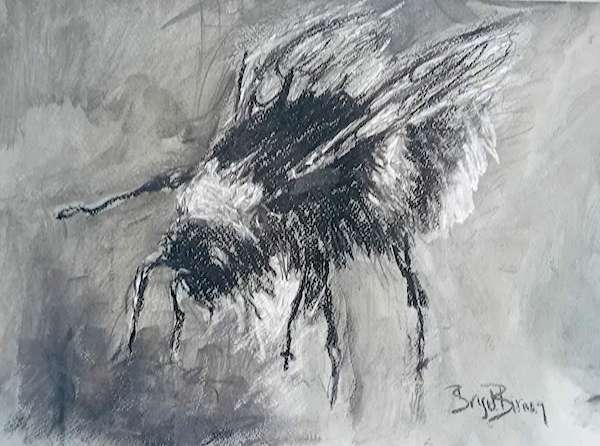 painting, The Bee II, charcoal on fabriano paper, 9 x 13 inches