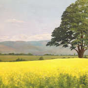 Oil Seed Rape and the Cooley Mountains