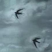 Flight of Swallows I Flight of Swallows I