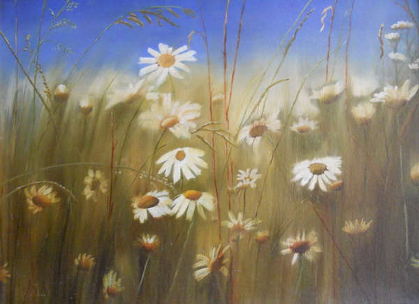 painting, Daisies, oil on canvas board, n/a