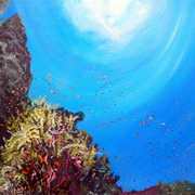 Fonds Marins Volcanic Base