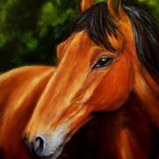 Irishart, Horse, 