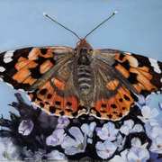 The Painted Lady Butterfly