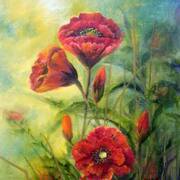 Poppies - Oils - 50 x 80cms