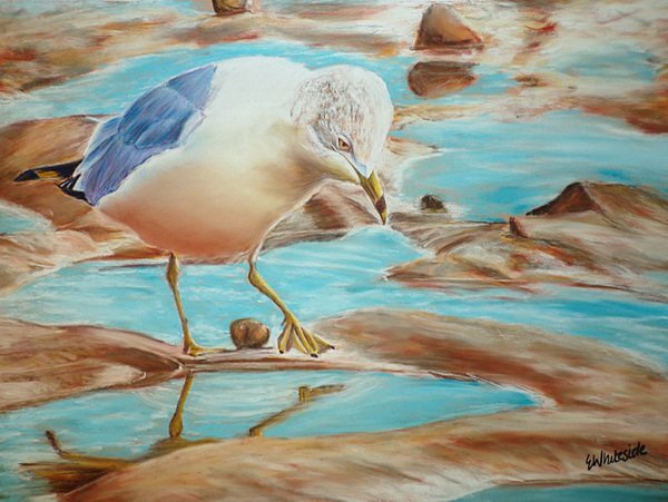painting, POND DIPPING, soft pastels, 30 x 40 cm