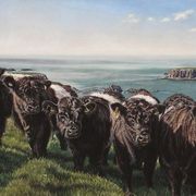 The Belties