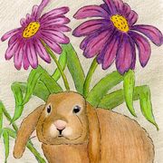 Bunny Life Bunny Life