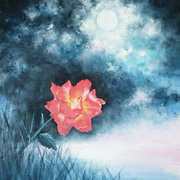 Moonlit Rose