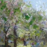 Spring lights up the garden