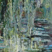 The mirror pond,wisteria and water lillies
