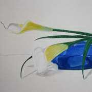 Callas on Cobalt