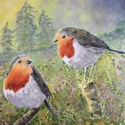 Robins In Spring Meadows