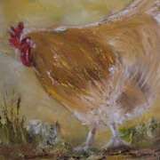 Chicken Licken Chicken Licken