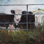 Daisy and Dolittle