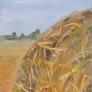 Hay Days