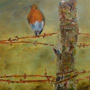 My Pal Mr. Robin