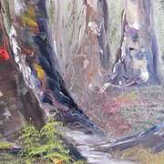 Springtime Woodland Springtime Woodland