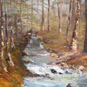 Woodland Stream Woodland Stream