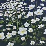 Anemones