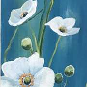 Cosmos