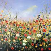Fields of colour