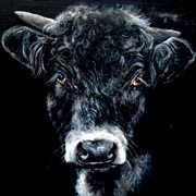 Irresista-Bull