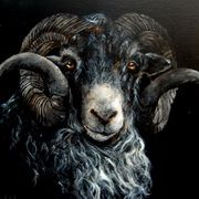 Lady Baa Baa