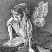 contemplation fairy