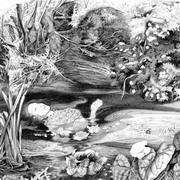 ophelia after millais