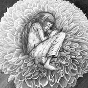 sleeping flower fairy