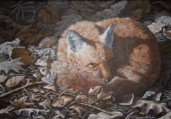 painting, Red Fox Rest, acrylic on canvas, 16 x 12 ins